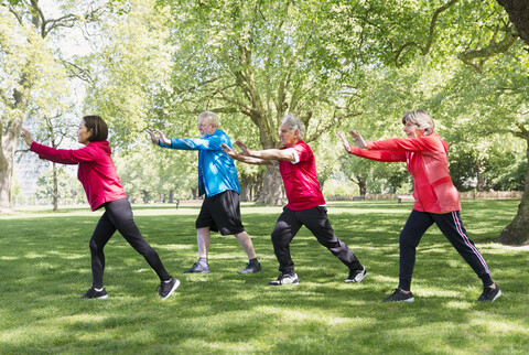 Aktive Seniorenfreunde üben Tai Chi im Park, lizenzfreies Stockfoto