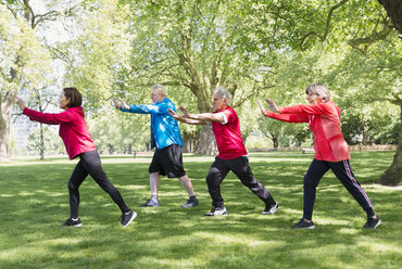 Active senior friends practicing tai chi in park - CAIF22330
