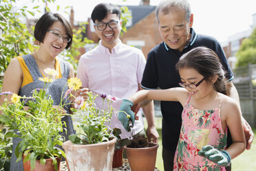 Mehrgenerationen-Familie beim Gärtnern, Blumenkästen im sonnigen Garten - CAIF22340