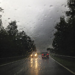 Cars on road in rain - WWF04503
