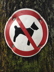 Hunde sind nicht erlaubt - WWF04509