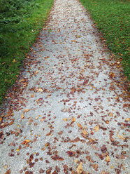 Parkweg im Herbst - WWF04526