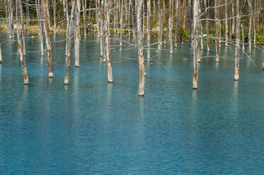 Hokkaido, Aoi Ike in Daisetsuzan National Park - RUNF00296