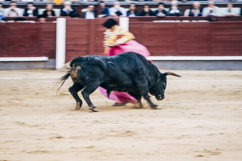 Stierkampf, Torero und Stier, lizenzfreies Stockfoto