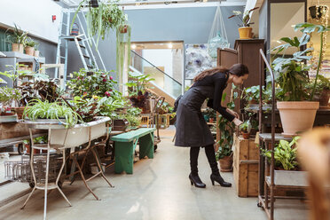 Full length of owner analyzing potted plants at store - MASF10234