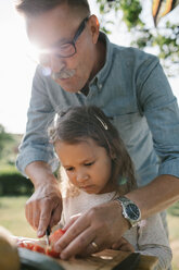 Großvater lehrt seine Enkelin am Tisch im Hinterhof Tomaten zu schneiden - MASF10284