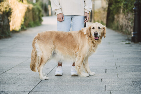 Frau mit ihrem Golden Retriever Hund auf einem Weg, lizenzfreies Stockfoto