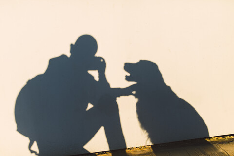 Schatten eines Fotografen und eines Hundes auf einer weißen Wand, lizenzfreies Stockfoto