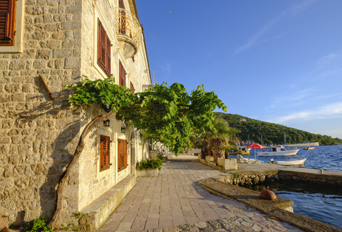 Montenegro, Bucht von Kotor, Lustica, Rose, Hafen, lizenzfreies Stockfoto
