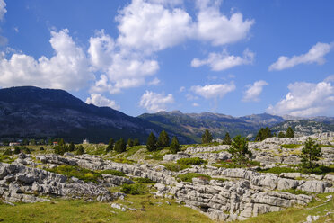 Montenegro, Podgorica, Hochebene von Kucka Korita, Karstgebirge - SIEF08173