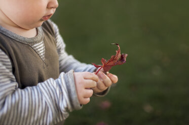 Mittelteil eines kleinen Jungen, der ein Blatt hält und auf einem Feld steht - CAVF57548