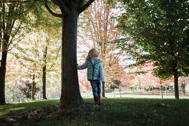 Full length of girl looking up while standing by tree at park during autumn - CAVF57603