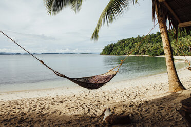 Scenic view of sea with dog resting by hammock at beach - CAVF57662