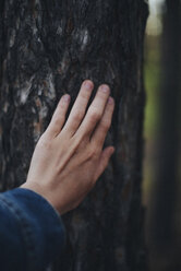Cropped hand of woman touching tree trunk in forest - CAVF57711