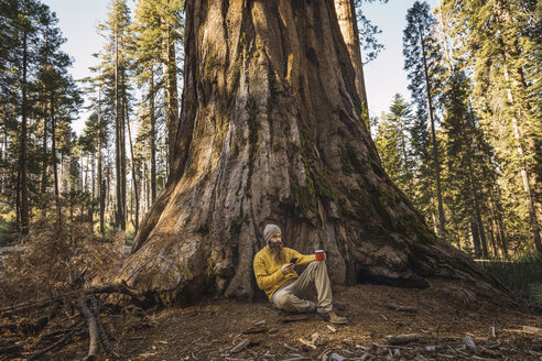 USA, Kalifornien, Yosemite National Park, Mariposa, Mann sitzt mit Handy und Tasse am Mammutbaum - KKAF03043