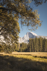 USA, Kalifornien, Yosemite National Park, Landschaft mit El Capitan im Hintergrund - KKAF03060