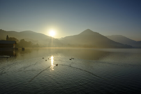 Deutschland, Oberbayern, Schliersee, Morgenstimmung im Kurpark - LBF02276