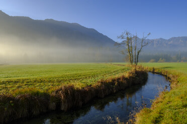 Deutschland, Oberbayern, Aurach bei Fischbachau, Morgennebel - LBF02284