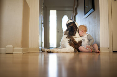 Voller Länge von Baby Junge sitzt mit Hund zu Hause - CAVF57896