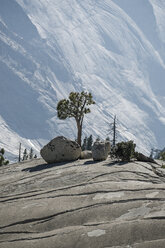 Baum auf Felsen gegen Berge - CAVF57932