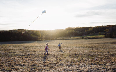 Bruder lässt Drachen steigen, während die Schwester auf einem Feld gegen den Himmel läuft - CAVF57958