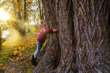 Girl hugging big tree in autumn - SARF04000