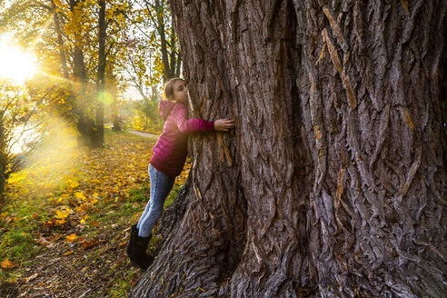 Mädchen, das einen großen Baum im Herbst umarmt - SARF04000