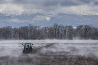 Hokkaido, Traktor sät ein Feld, während es aus dem warmen Boden verdampft - RUNF00307