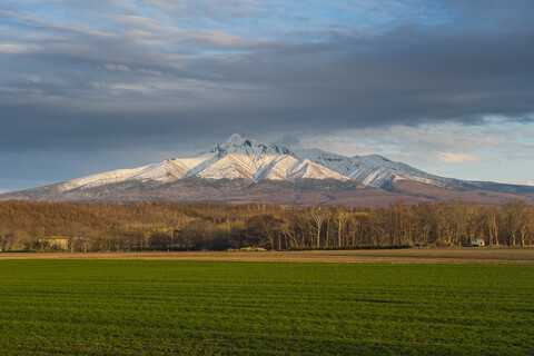 Hokkaido, Shiretoko-Nationalpark, Feld und schneebedeckter Berg, lizenzfreies Stockfoto