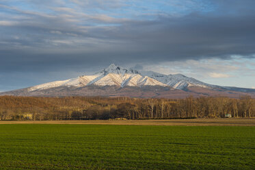 Hokkaido, Shiretoko-Nationalpark, Feld und schneebedeckter Berg - RUNF00319