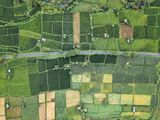 Indonesia, Bali, Keramas, Aerial view of rice fields - KNTF02460