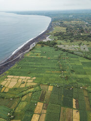 Indonesia, Bali, Keramas, Aerial view of Klotok beach, rice fields - KNTF02461