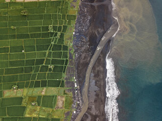 Indonesia, Bali, Keramas, Aerial view of Klotok beach, rice fields - KNTF02463