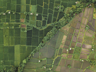 Indonesien, Bali, Keramas, Luftaufnahme von Reisfeldern - KNTF02466