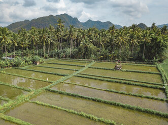 Indonesien, Bali, Candidasa, Luftaufnahme von Reisfeldern - KNTF02485