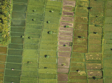 Indonesien, Bali, Candidasa, Luftaufnahme von Reisfeldern - KNTF02490