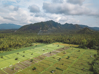 Indonesien, Bali, Candidasa, Luftaufnahme von Reisfeldern - KNTF02491