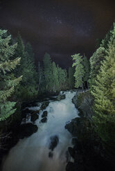 Hoher Blickwinkel auf den Fluss inmitten von Bäumen bei Nacht - CAVF58197