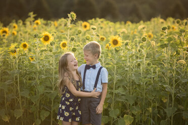 Fröhliche Schwester steht neben ihrem Bruder vor Sonnenblumen auf einem Feld - CAVF58270