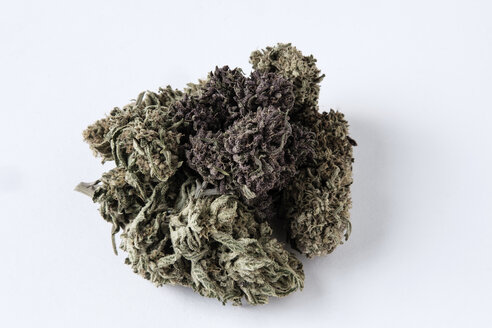 Nahaufnahme einer trockenen Cannabispflanze auf weißem Hintergrund - CAVF58301