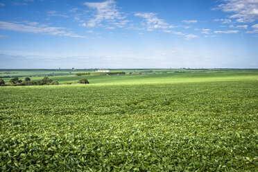 Landschaftliche Ansicht eines landwirtschaftlichen Feldes gegen den Himmel - CAVF58312