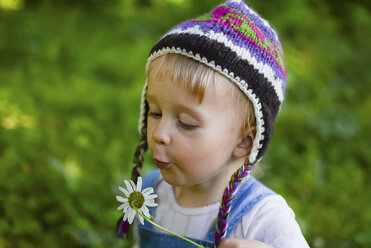 Portrait of little girl wearing knitted hat blowing flower - PSIF00178