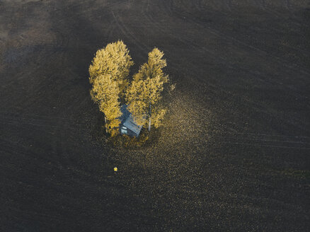 Finland, Kuopio, woman in yellow rain jacket walking towards autumnal trees, aerial view - PSIF00194