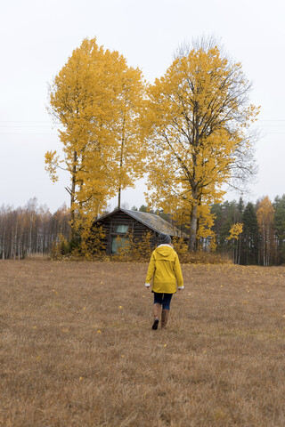 Finnland, Kuopio, Rückenansicht einer Frau in gelber Regenjacke, die auf herbstliche Bäume zugeht, lizenzfreies Stockfoto