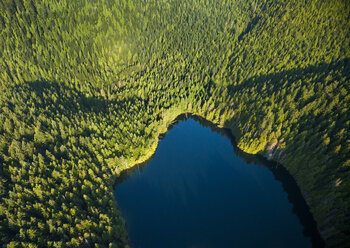 Luftaufnahme eines Flusses inmitten von Bäumen im Wald - CAVF58447