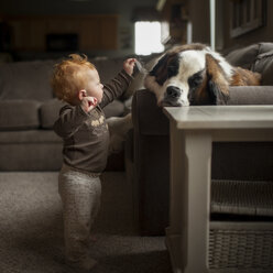 Neugieriger kleiner Junge berührt das Ohr des Hundes in voller Länge, während er zu Hause steht - CAVF58515