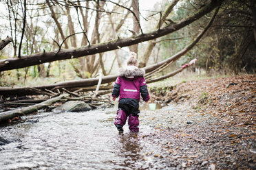 Rear view of girl walking on stream at forest - CAVF58552