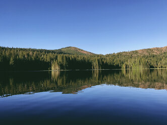 Blick auf den Rucker Lake bei strahlend blauem Himmel - CAVF58624