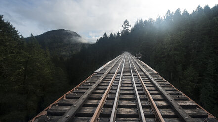 Schwindende Perspektive einer Eisenbahnbrücke im Wald - CAVF58643