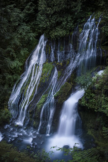 Malerischer Blick auf einen Wasserfall im Wald - CAVF58645